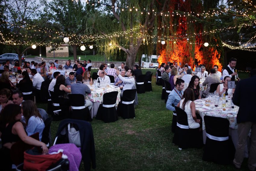DSC02971